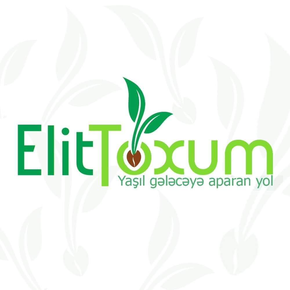 Elit Toxum