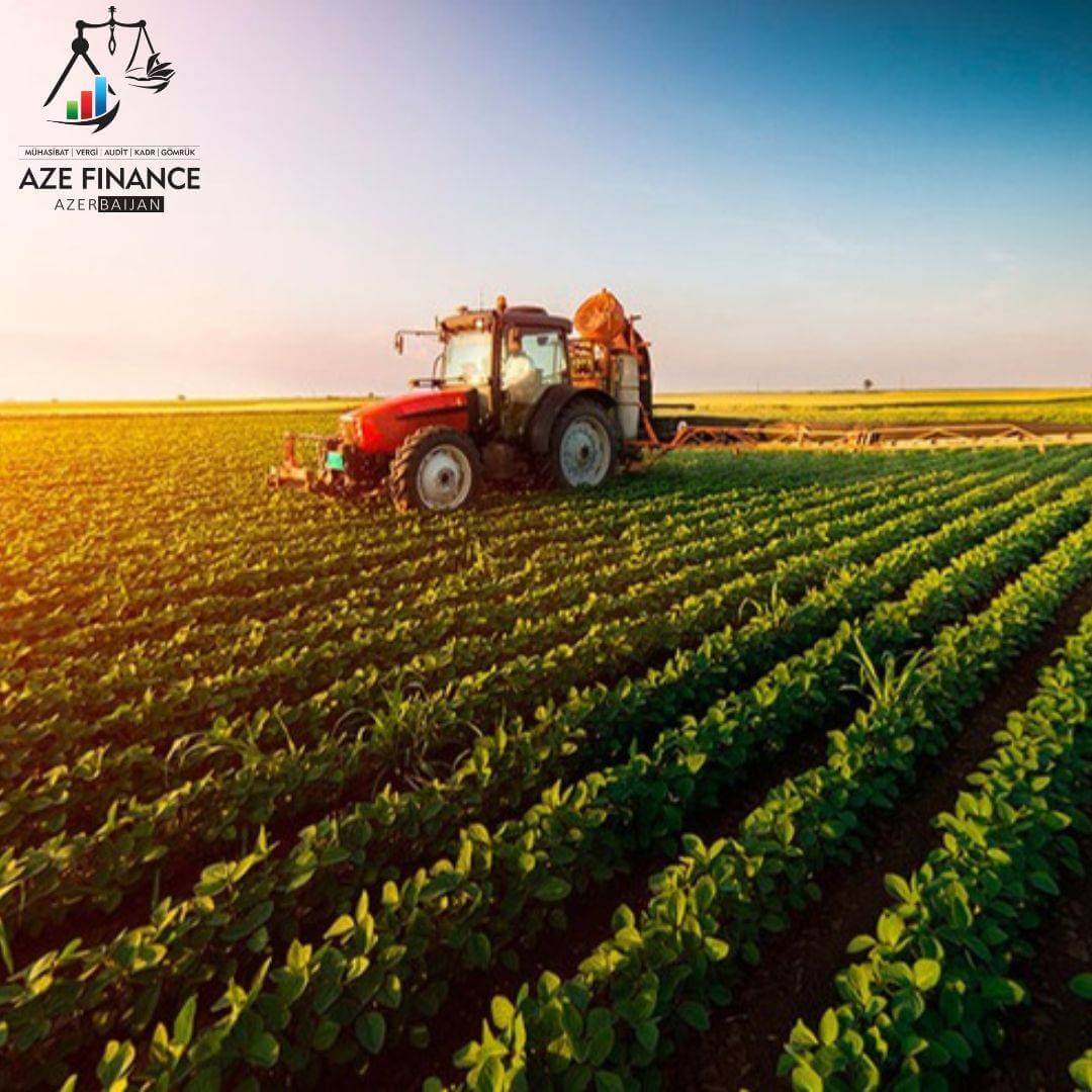 Производство сельскохозяйственной продукции: какие налоговые льготы предусмотрены?