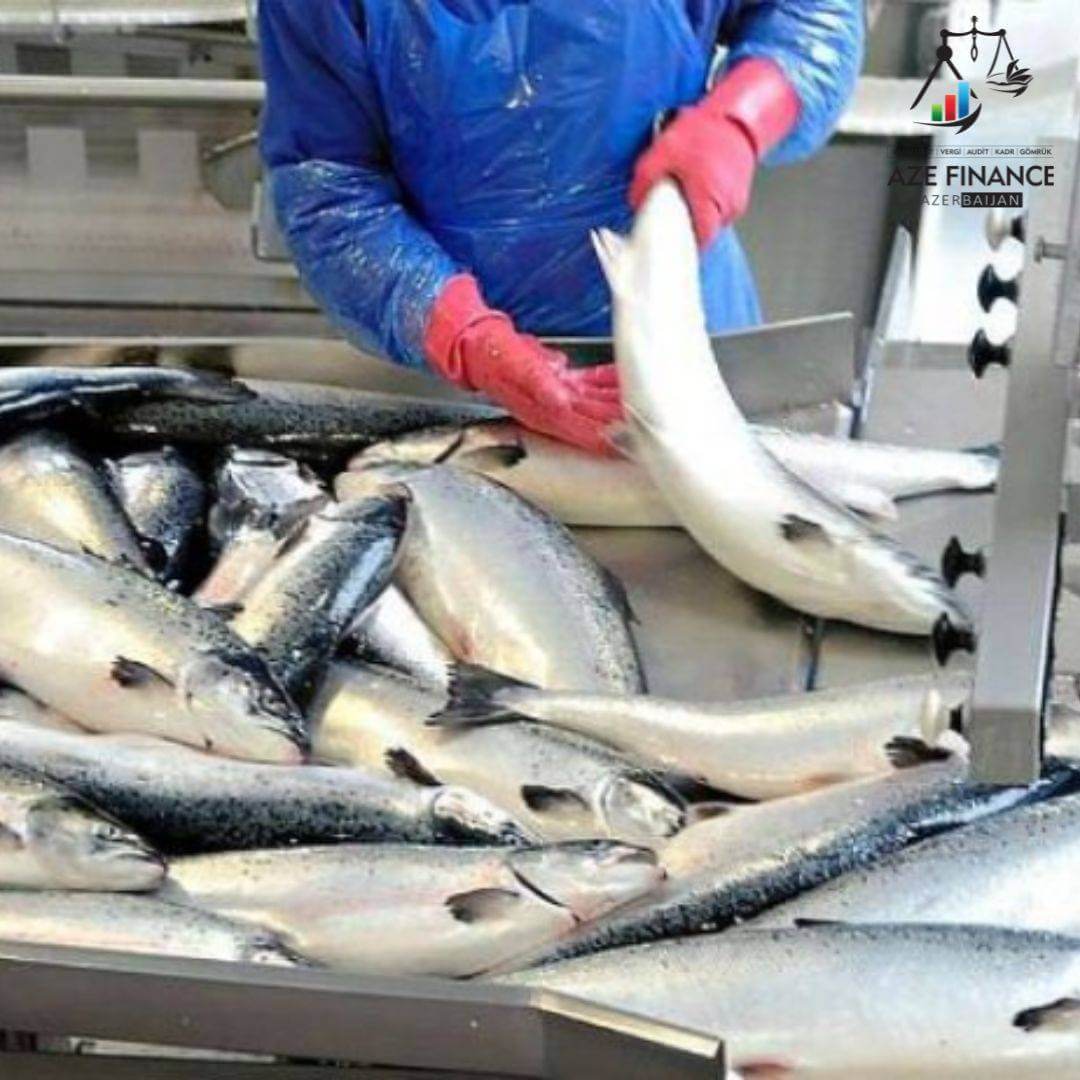 Tax incentives in the fisheries sector – EXAMPLE