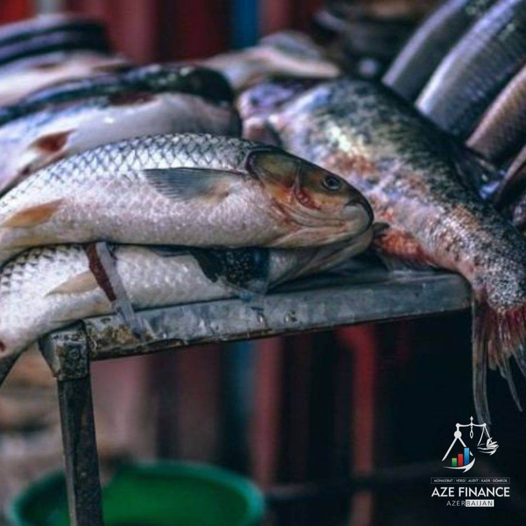 Innovation in the VAT calculation procedure for fish and fish products