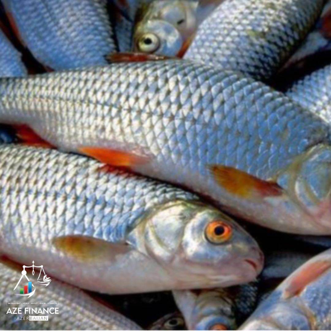 What tax incentives are granted to a fish farming enterprise?